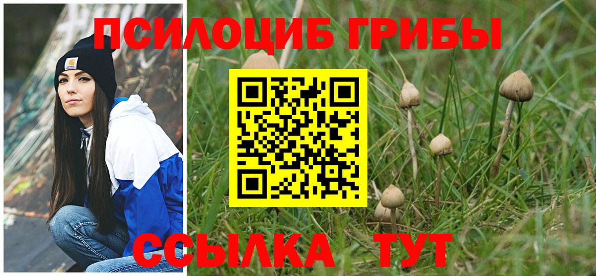 Сорочинск  Псилоцибиновые грибы Psilocybe  Вход с VPN 
